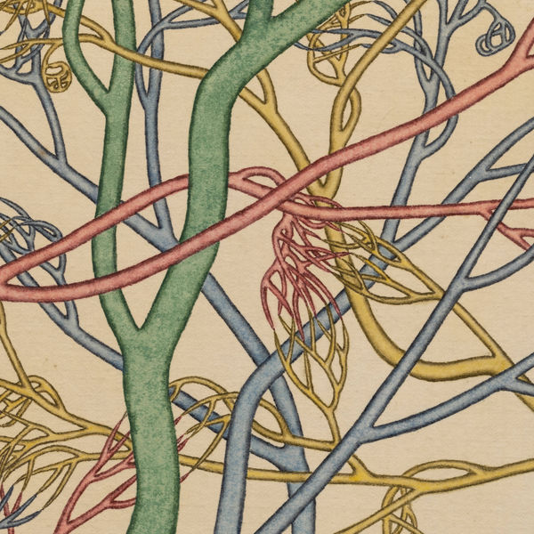 Iconology of Life Lao Tongli's Experiential Semiotics of Living Systems