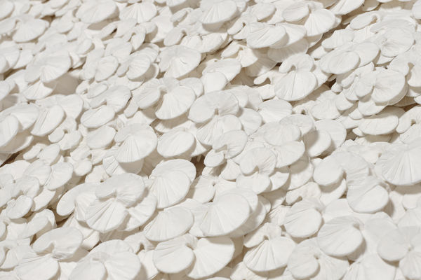 KAKU | Painting & Paper | Ippodo Gallery TOKYO & NEW YORK