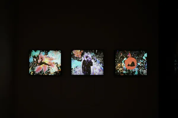 Light in Retrospective | 14 December 2022 - 20 January 2023