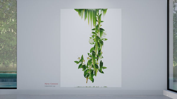 Virtual installation view of the exhibition After Nature by Andrea Wolf, presented by Isabel Croxatto Galería at ICG+. September, 2020. Credit: deeptime.art, courtesy of Isabel Croxatto Galería.