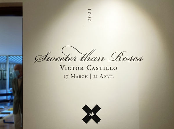 Installation view of the exhibition Sweeter than Roses by Víctor Castillo, presented by Isabel Croxatto Galería in Santiago, 2021. Credit: Nicolás de Sarmiento. Courtesy of Isabel Croxatto Galería.