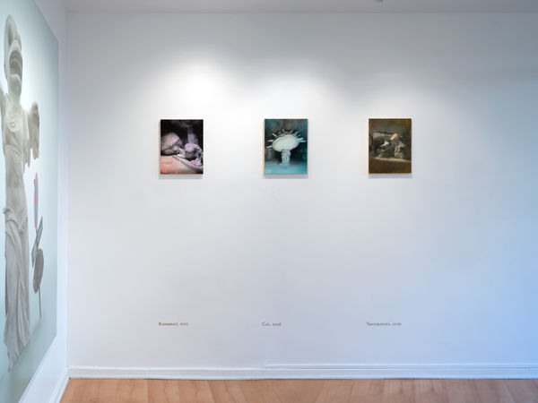 Nelsonhernandez Fever Dreams 005