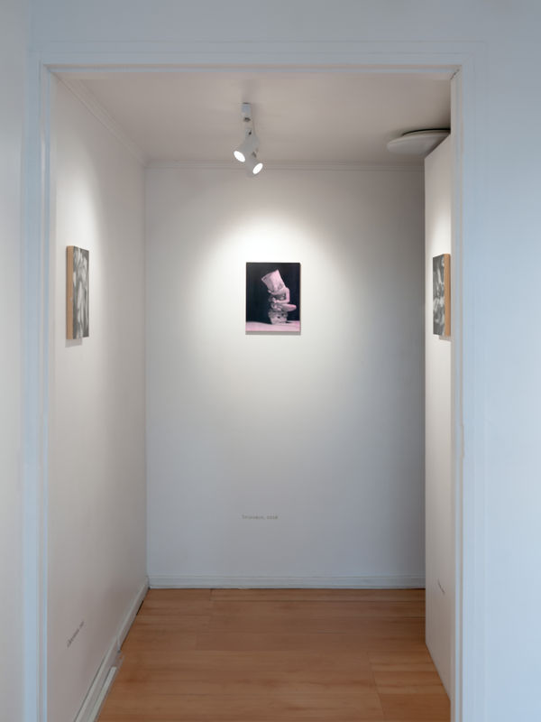 Nelsonhernandez Fever Dreams 008