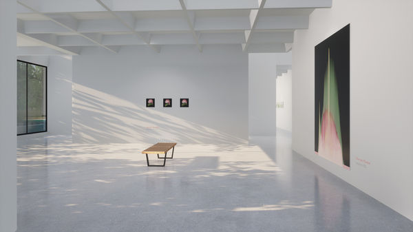 Virtual installation view of the exhibition After Nature by Andrea Wolf, presented by Isabel Croxatto Galería at ICG+. September, 2020. Credit: deeptime.art, courtesy of Isabel Croxatto Galería.