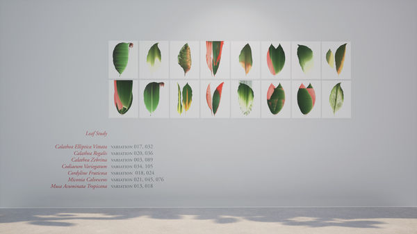 Virtual installation view of the exhibition After Nature by Andrea Wolf, presented by Isabel Croxatto Galería at ICG+. September, 2020. Credit: deeptime.art, courtesy of Isabel Croxatto Galería.