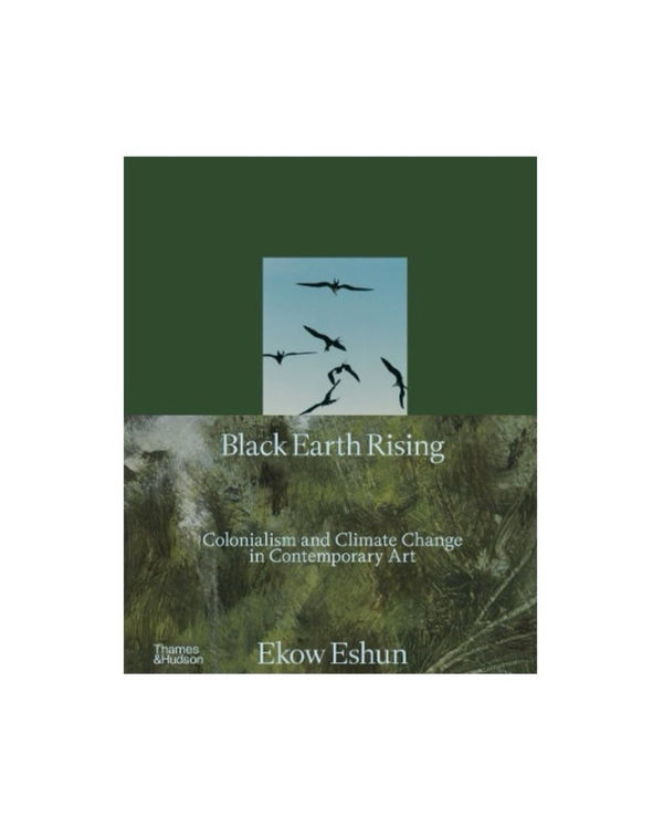 Black Earth Rising