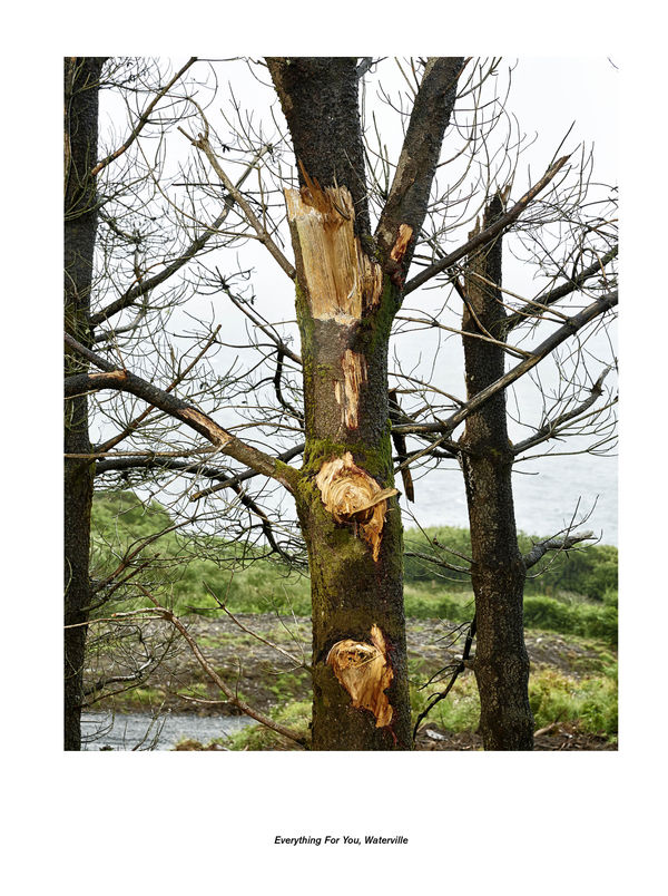 Jan De Cock Exhibition, Everything For You Waterville