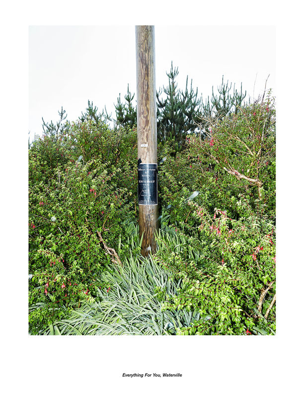 Jan De Cock Exhibition, Everything For You Waterville