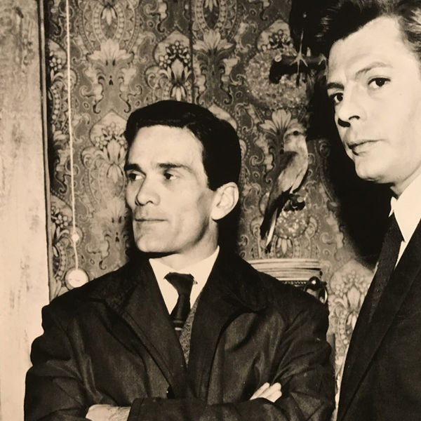 Jan De Cock Art Advisory Services Bruges Atlas Wunderkammer Masters