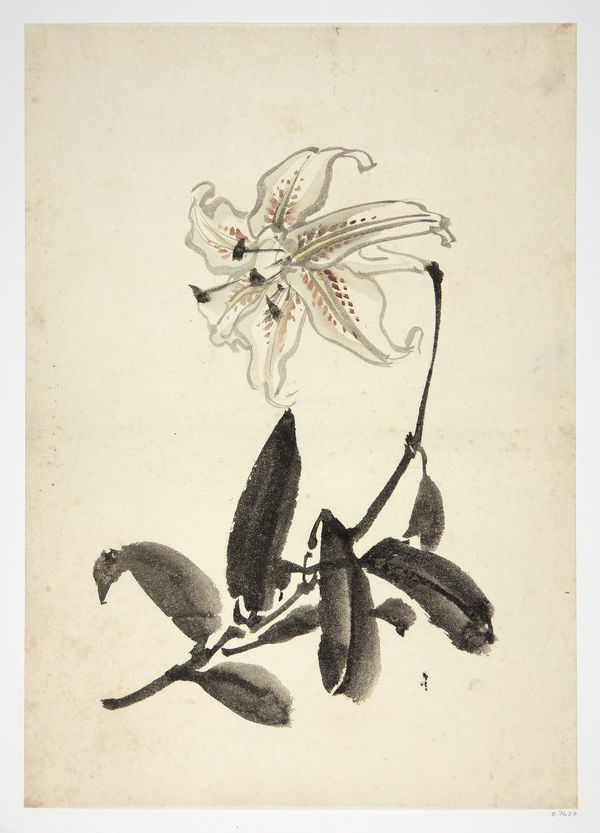 Malerei, #007627 Anonymer Künstler, Lilie (yuri), 19. Jahrhundert