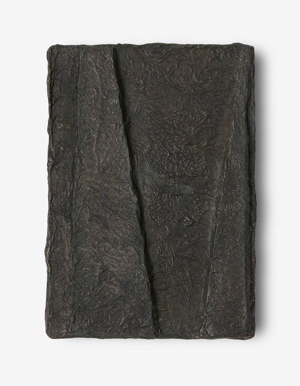 Jürgen Schön #022862 Relief, 2021 Bronze, gegossen, Unikat 21 x 15 x 2,4 cm