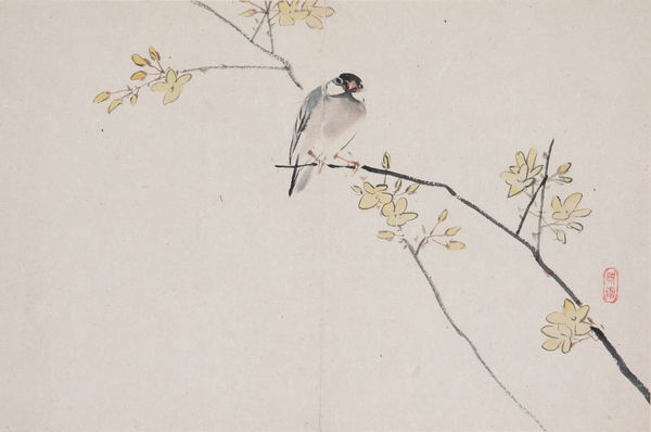 Malerei, #005281 NIWAYAMA KÔEN (1869-1943), Finke auf Blütenzweig, Meiji-Zeit (1868-1912)