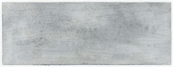 Katsuhito Nishikawa, #021184 Hombroich, 2004