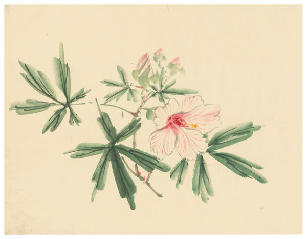 Malerei, #006673 Hibiskuszweig mit Blüten (fuyô), Meiji-Zeit (1868-1912)