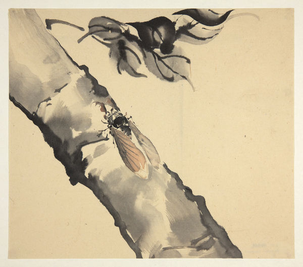 Malerei, #000244 Zugeschrieben: GYOKUSEN Mochizuki (1834-1913), Zikade, auf einem Ast sitzend, 19. / frühes 20. Jahrhundert