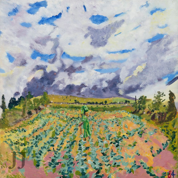 Dartmoor: Turnip Field (print), 1984