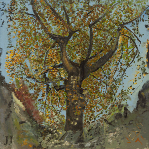 Beach Tree Sun, 1971, 76 x 76 cm, oil on canvas.