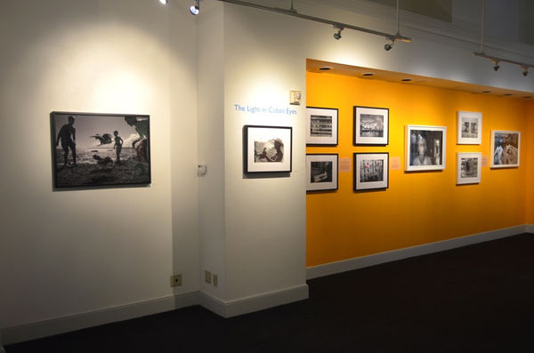 Cf219469678513Dcb8Bd8Bd909466106