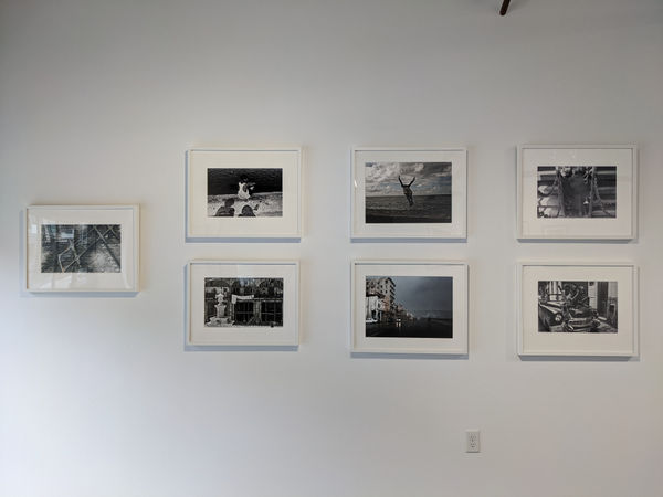 Pxl 20210313 183226998