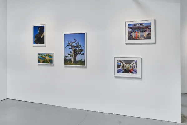 Jenkins Johnson 3 14 26 018