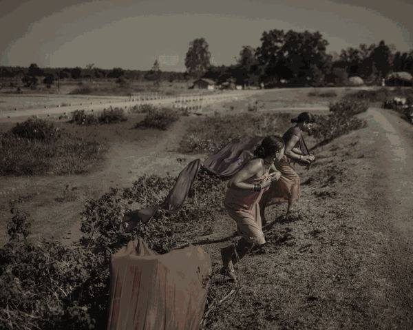 Poulomi Basu/Courtesy of the artist