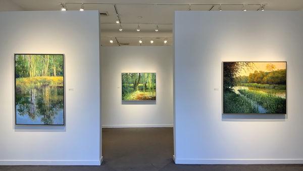 Thomas Mcnickle The Pond Install 1 Copy