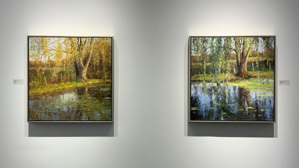 Thomas Mcnickle The Pond Install 5