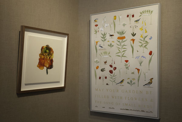 Jonathan Cooper 30 Years 19 Lr