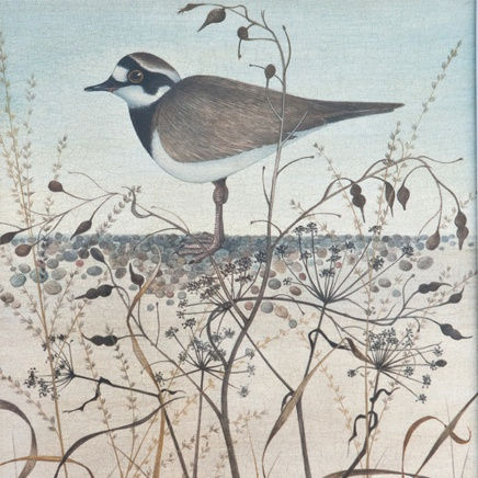 Harriet Bane : Closer to Home