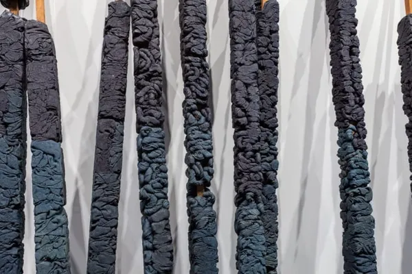 Manishnaimeridians 5