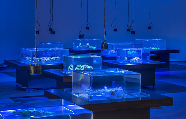 C7Bc0060D57D611De0Dde1A84078731B 1600X1600 100 1481223249 Best Fit