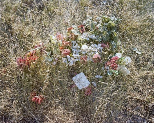 Flowers I 2010 digital C-Print 24x30in (61x76.2cm)