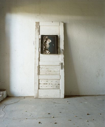 Hailey's Comet 2010 digital C-Print 40 x 30in (102 x 76.2cm)