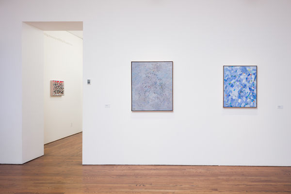 20171119 Bh Chopra 019