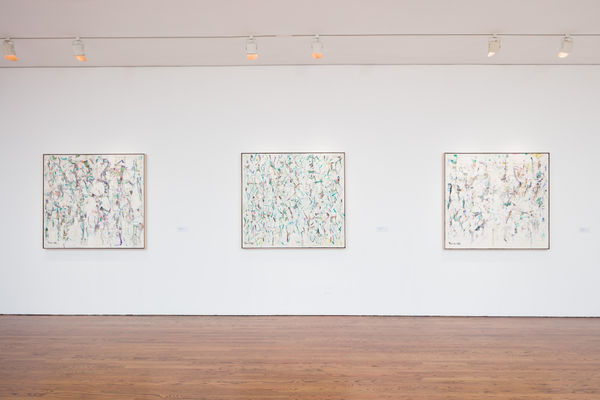 20171119 Bh Chopra 020