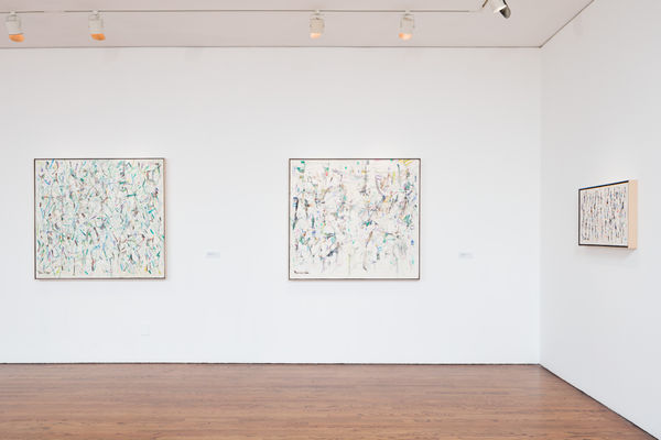 20171119 Bh Chopra 021