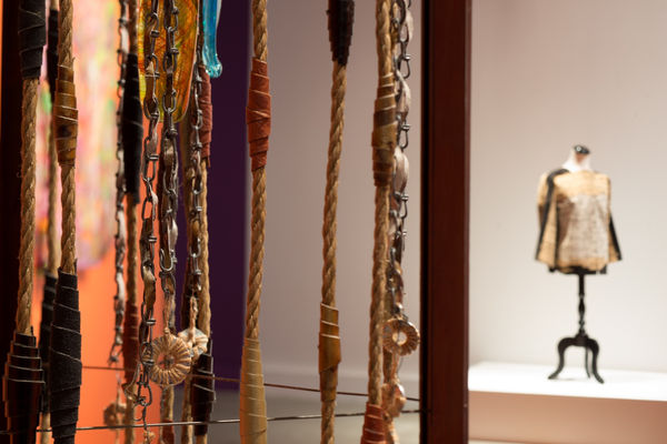 Africobramocanomi 33