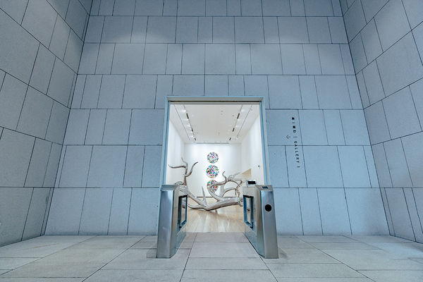 20210312141062646264