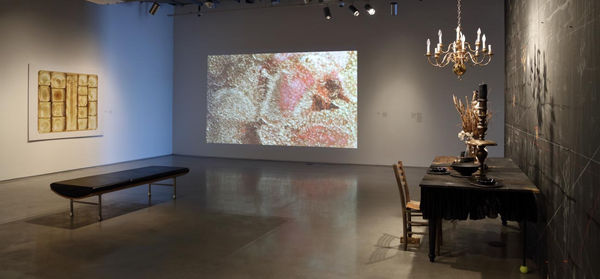 Installation views, Michi Meko in Gut Feelings, 2017, Zuckerman Museum of Art. Images courtesy of the artist.