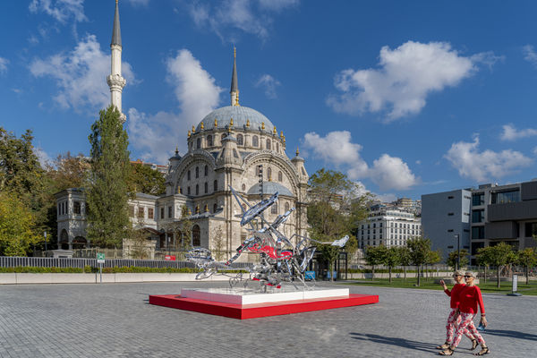 Nirvana Tropicana 19