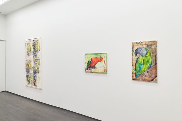 An Ornithology For Birds 72 15