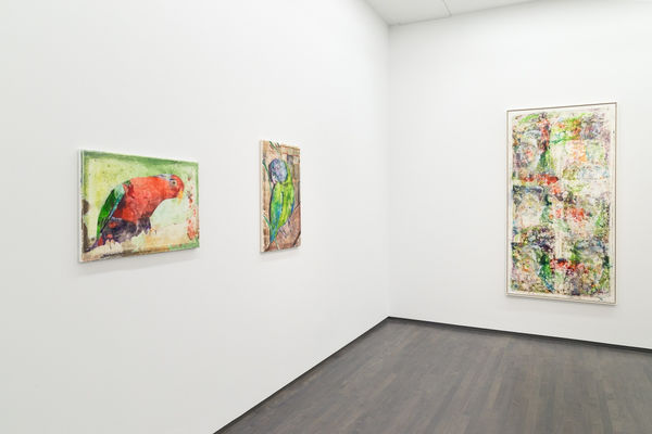 An Ornithology For Birds 72 5