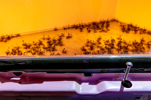 Esmaamohamoudkaviguptaflubackerhighlights0009