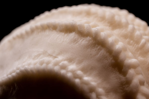 Esmaamohamoudkaviguptaflubackerhighlights0017