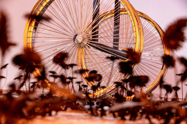 Esmaamohamoudkaviguptaflubackerhighlights0029