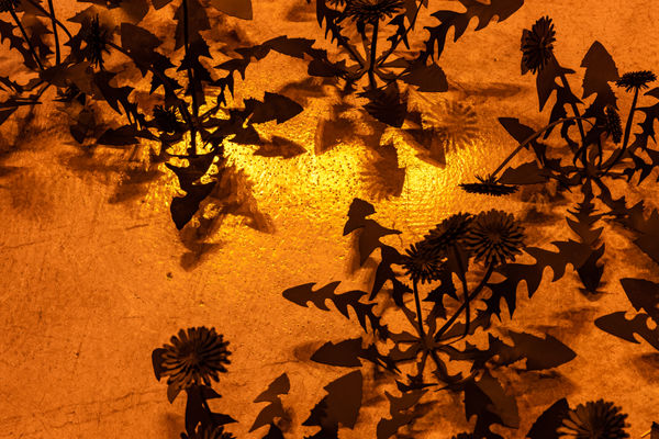 Esmaamohamoudkaviguptaflubackerhighlights0032