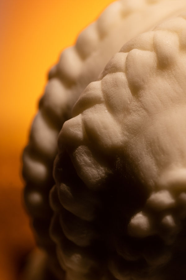 Esmaamohamoudkaviguptaflubackerhighlights0039