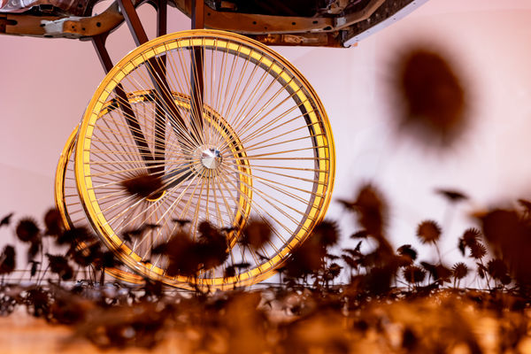 Esmaamohamoudkaviguptaflubackerhighlights0042