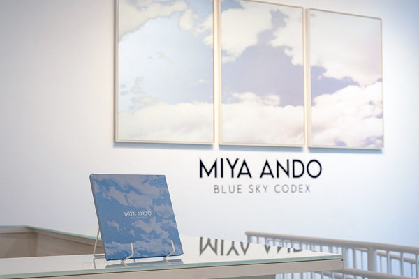 A08687D722A538Ec67428Fc6Bec0C396