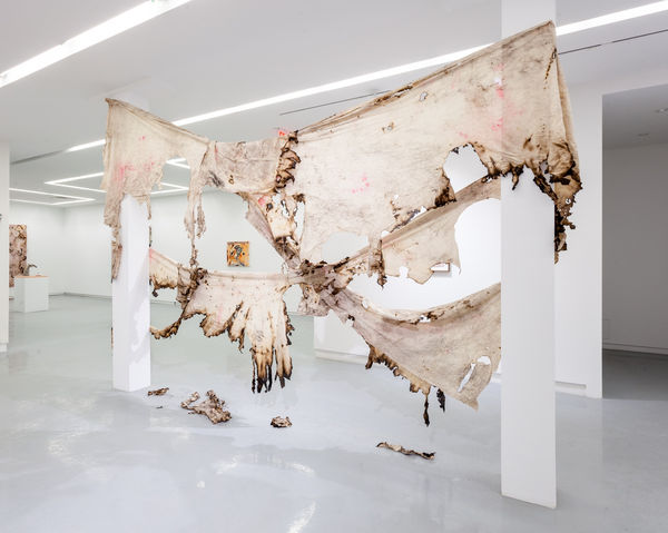 Manuel Mathieu, Negroland: A Landscape of Desires (Installation view), Kavi Gupta | 219 Elizabeth St., 2021